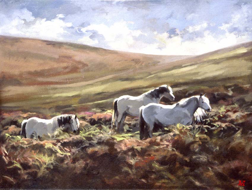 Ponies on the Long Mynd, Shropshire