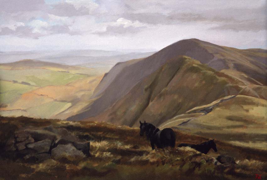 Fell Ponies on High Street, Cumbria