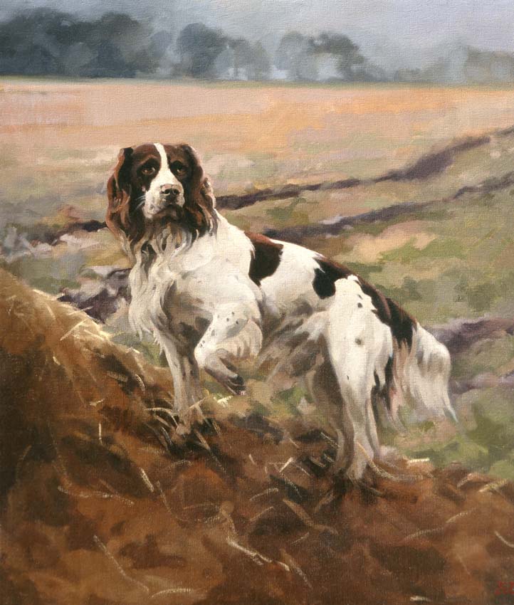 The Spaniel 